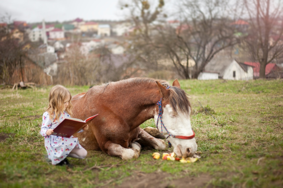 Horse Riding Club in Lviv 